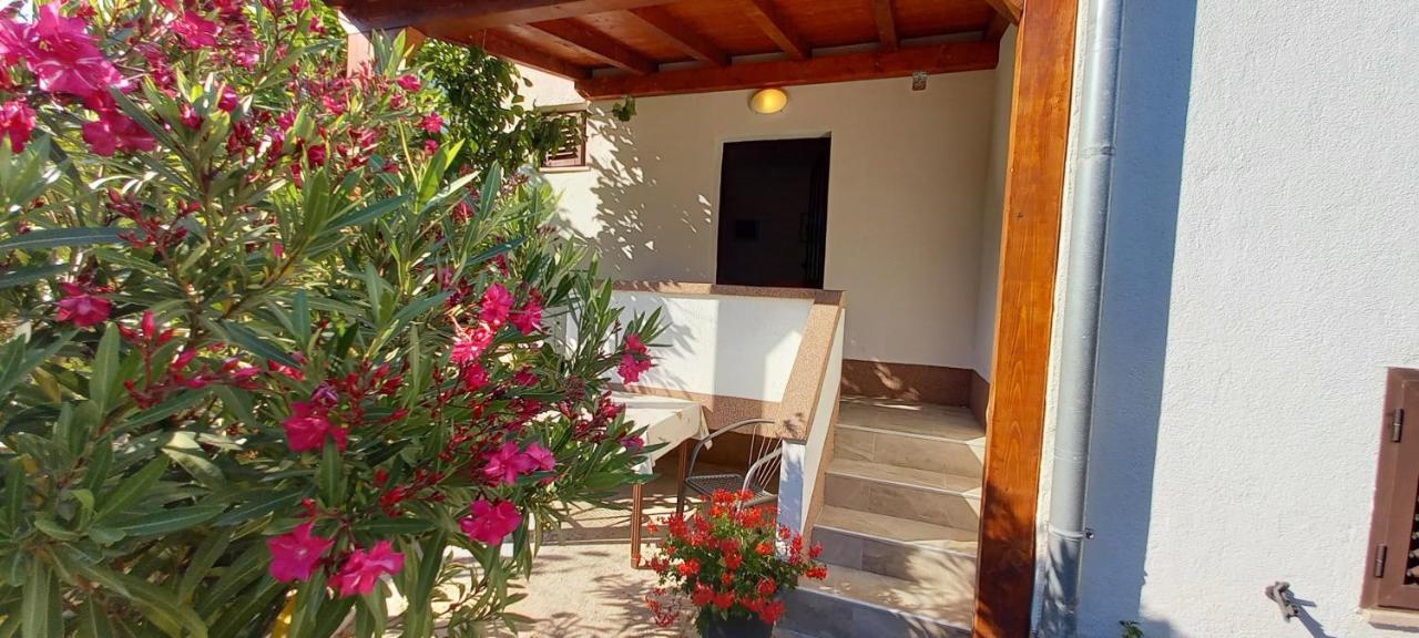 Eco Secluded Apartments Zabodarski Čunski Esterno foto