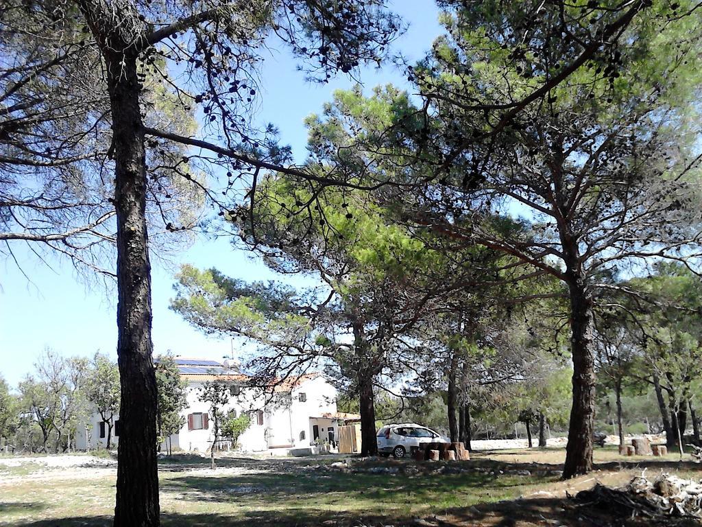 Eco Secluded Apartments Zabodarski Čunski Esterno foto