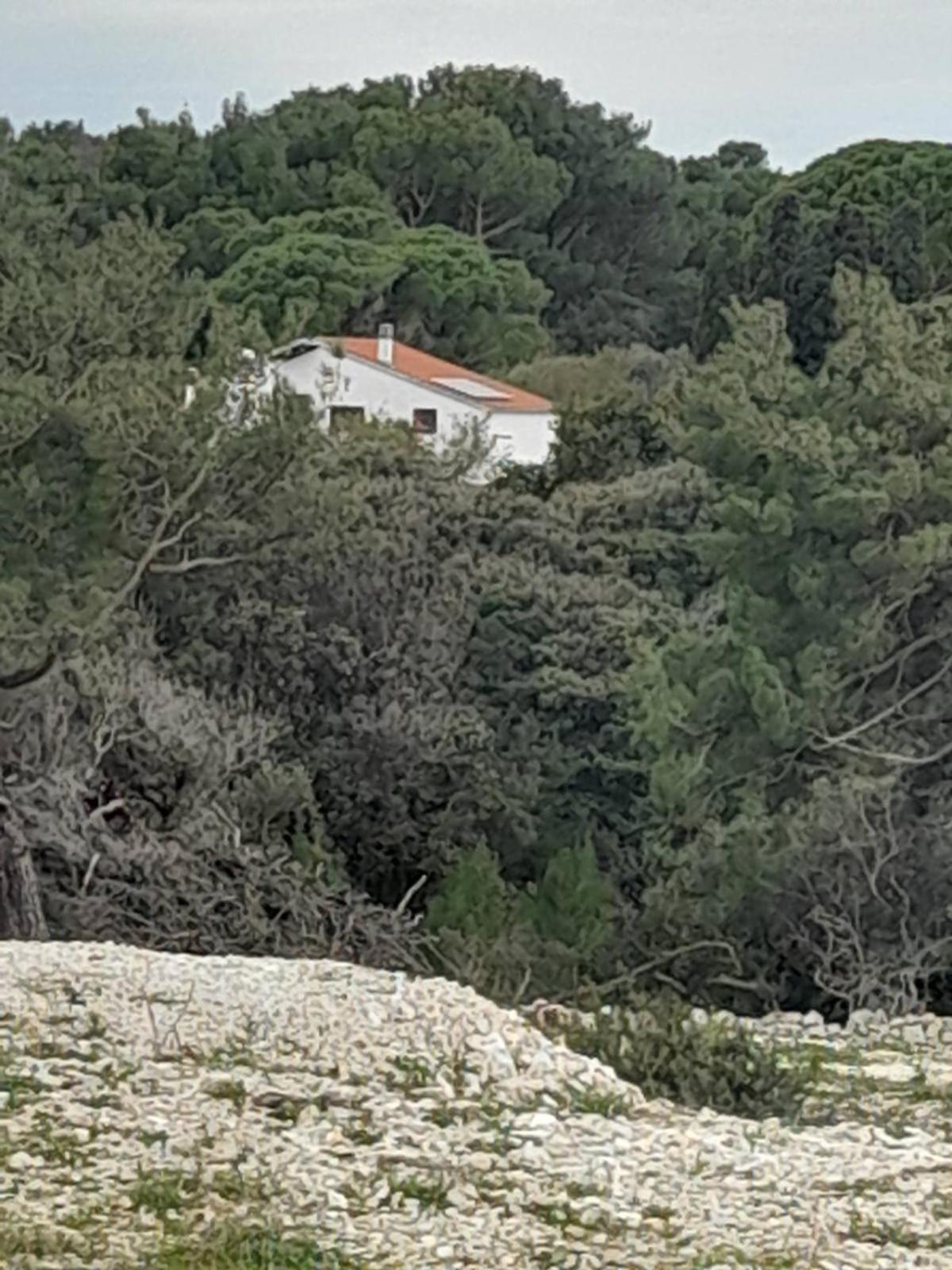Eco Secluded Apartments Zabodarski Čunski Esterno foto