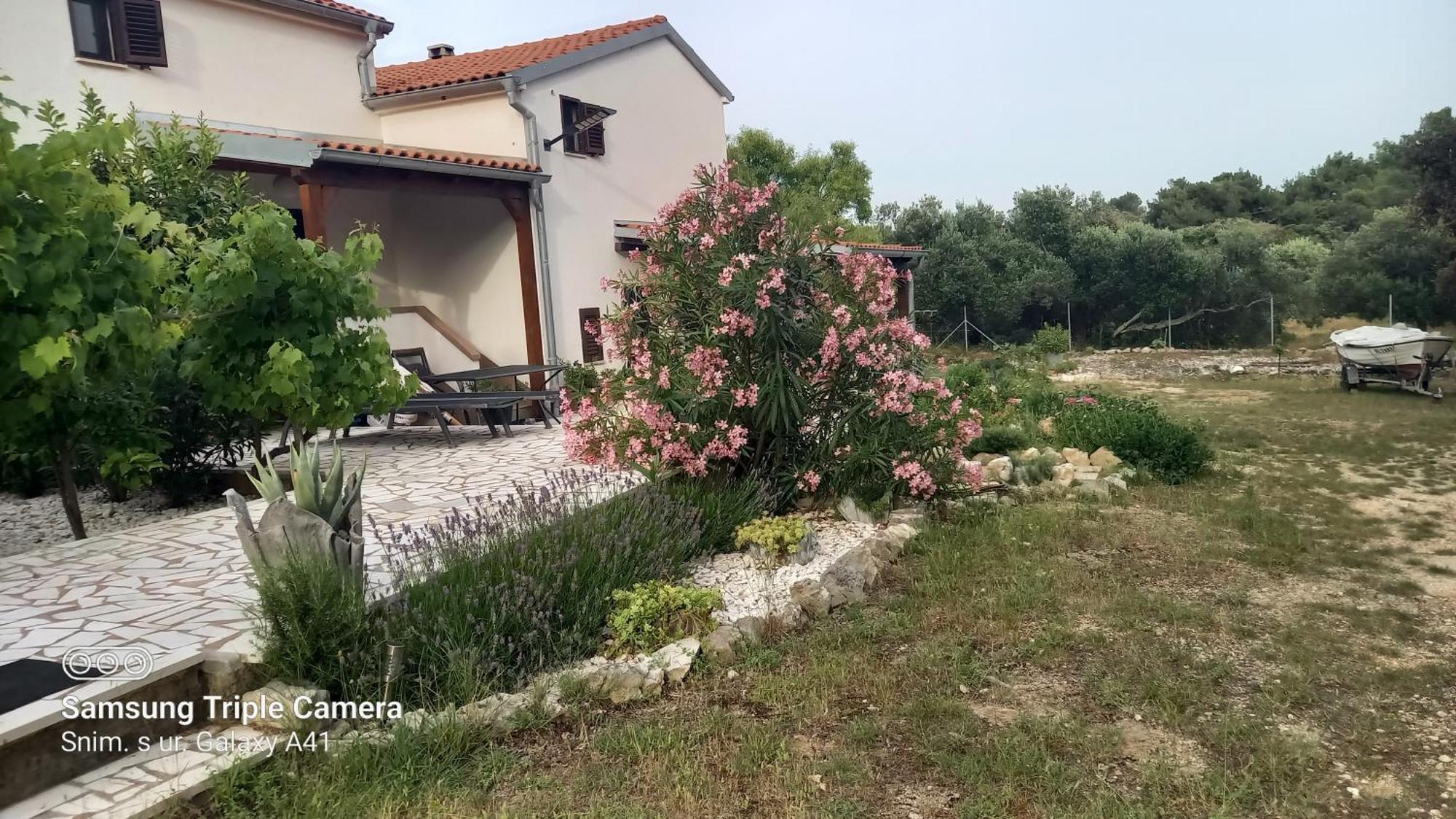 Eco Secluded Apartments Zabodarski Čunski Esterno foto