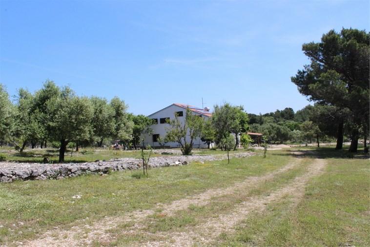 Eco Secluded Apartments Zabodarski Čunski Esterno foto