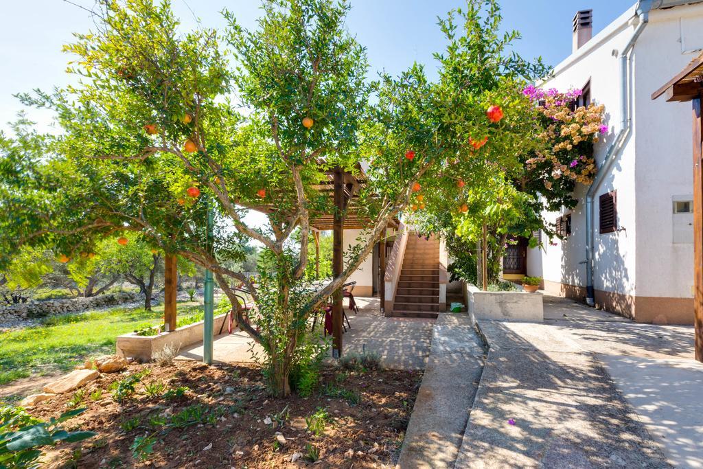 Eco Secluded Apartments Zabodarski Čunski Esterno foto