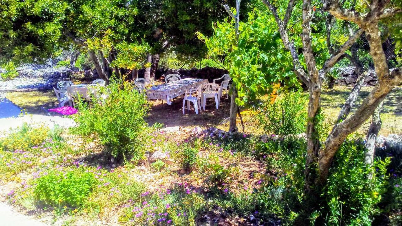 Eco Secluded Apartments Zabodarski Čunski Esterno foto